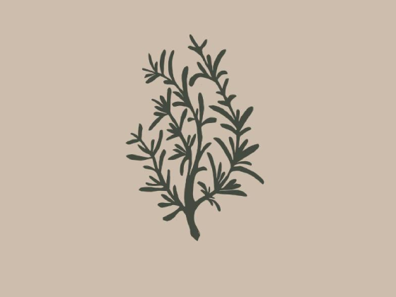 بوتانيكلز سبا - Botanicals Spa
